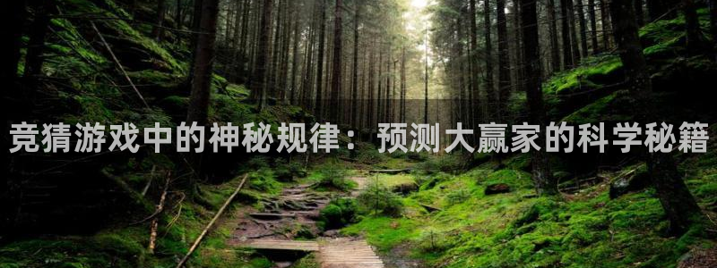 手机极悦娱乐下载安装：竞猜游戏中的神秘规律：预测大赢家的科学