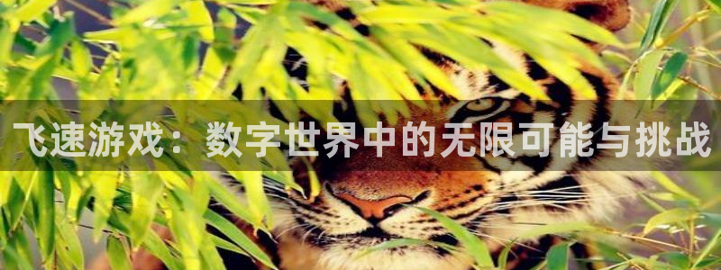 极悦娱乐官网登录：飞速游戏：数字世界中的无限可能与挑战