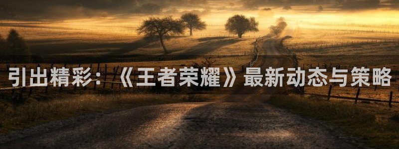 极悦娱乐官方登录网址：引出精彩：《王者荣耀》最新动态与策略