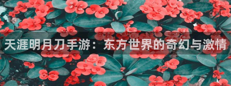 极悦娱乐注册：天涯明月刀手游：东方世界的奇幻与激情