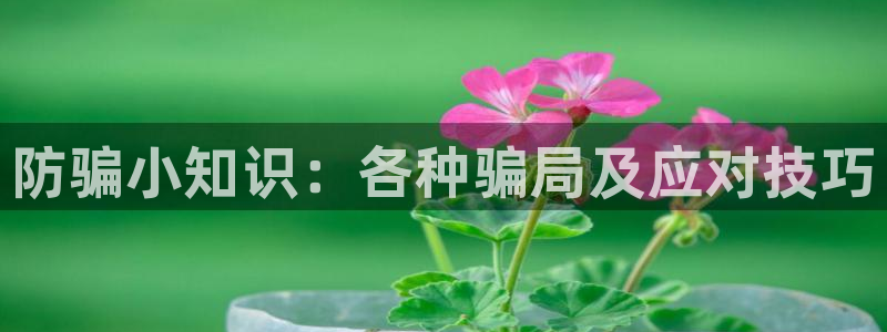 极悦娱乐注册网站：防骗小知识：各种骗局及应对技巧