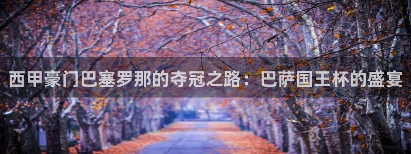 搜球吧直播 在线观看