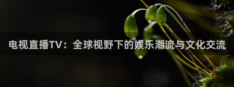 搜球吧直播网：电视直播TV：全球视野下的娱乐潮流与文化交流
