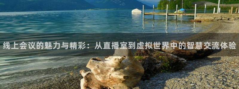 搜球吧在线直播免费观看：线上会议的魅力与精彩：从直播室到虚拟世界中的智慧交流体验