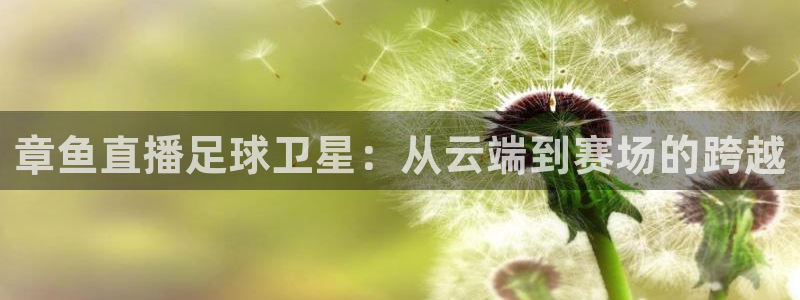 搜球体育：章鱼直播足球卫星：从云端到赛场的跨越